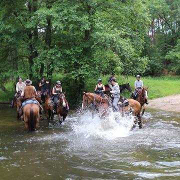 Reiten